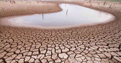 Seruan Pertobatan Ekologis Menyambut 10 tahun Laudato Si